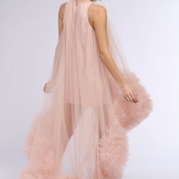 AKIRA ARI TULLE RUFFLE HIGH LOW MINI DRESS IN BLUSH - Picture 4 of 5